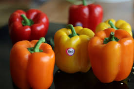 تصویر 1 از فلفل دلمه ای تازه و رنگارنگ با کیفیت عالی